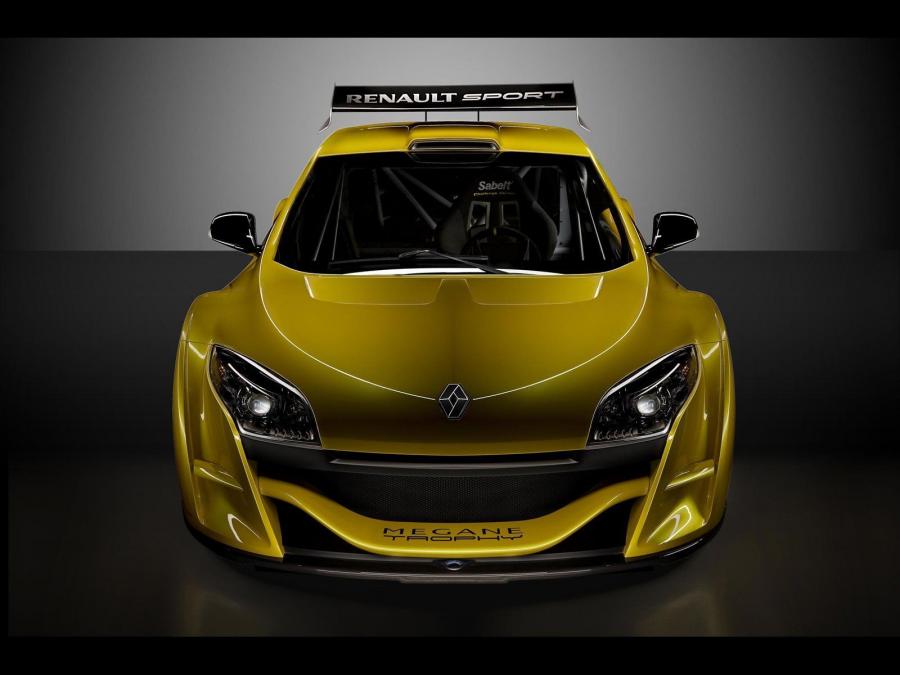  Renault Megane Trophy 2008 года  (фото 16 из 20)